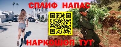 прущие грибы Малгобек