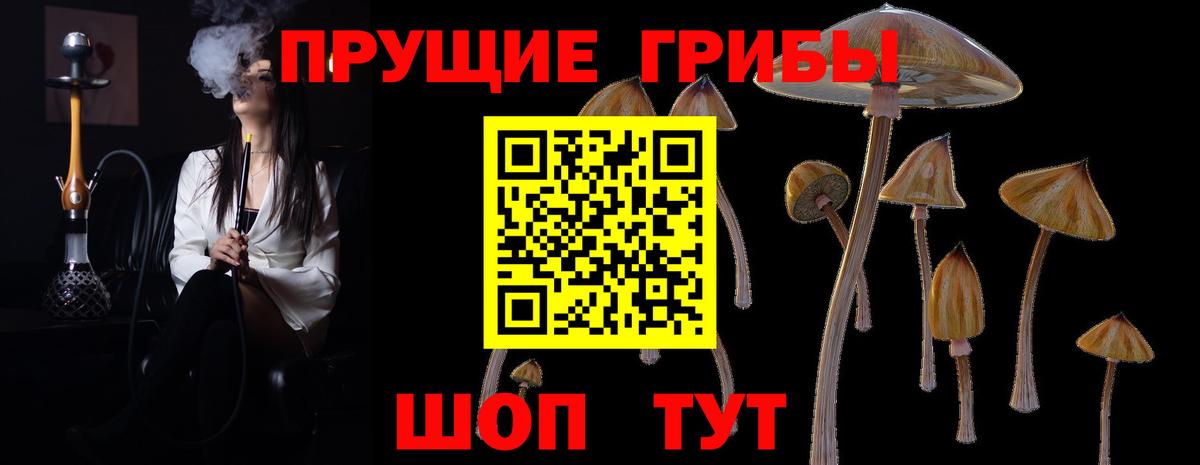 купить  цена  Вход с VPN  Тельмана  Псилоцибиновые грибы GOLDEN TEACHER 